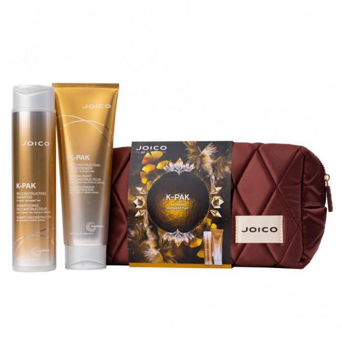 JOICO K-Pak Reconstructing Dreamscape Duo